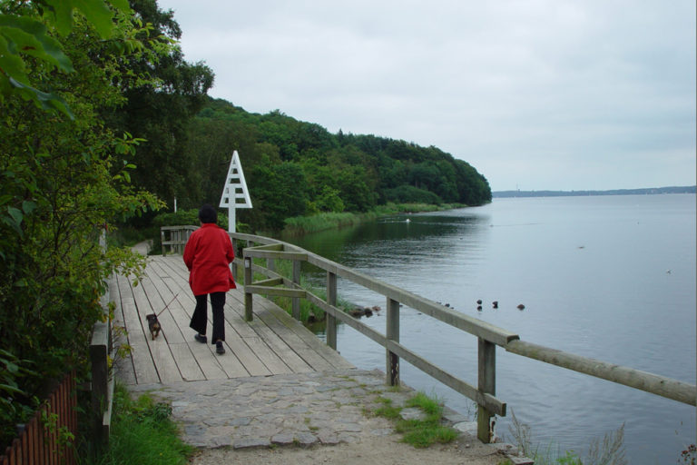 Kollund Skov og Gendarmstien Kollund Skov og Gendarmstien