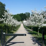 Dronning Louises Tehus med æblestien 