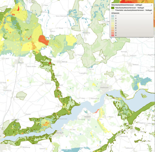 Villestrup Å. Udsnit af Biodiversitetskortet © Styrelsen for Dataforsyning og infrastruktur. 